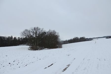 Prodej pozemků Vědlice, okr. Litoměřice