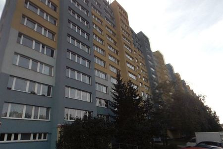 Společný prodej bytu s exekucemi ve výši čtvrt milionu