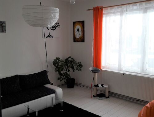 Fotografie nemovitosti - Pronájem vzdušného, světlého bytu 2+1, 11 min. vlakem od Mladé Boleslavi