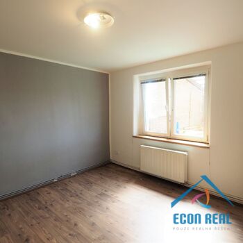 Pronájem světlého bytu 2+1 , 48 m2, nová koupelna, terasa, přímo na Husově nám., Benátky nad Jizerou