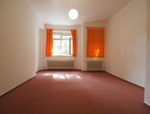 Fotografie nemovitosti - Pronájem 1kk, s možností užívání zahrádky, Pravá, Praha 4 Podolí