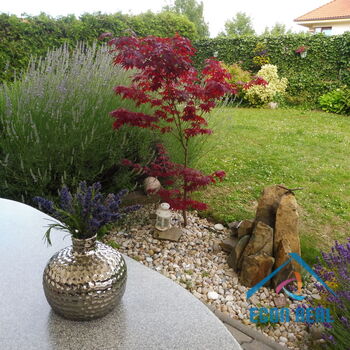 Pronájem krásného bytu 3+kk s terasou, zahradou a 2 místy k parkování, Platanova, Jesenice