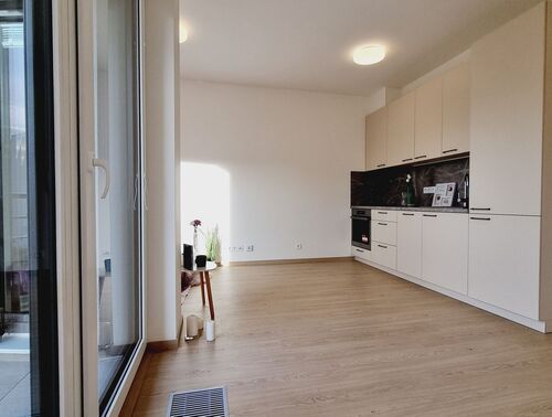 Fotografie nemovitosti - Pronájem nového, útulného bytu 1kk, s lodžií, sklepem a parkováním, BD Divišovská, Praha, Chodov