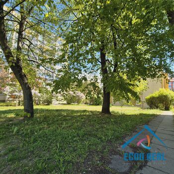 Prodej světlého a praktického bytu 3+1, s 3 komorami a lodžií 7 m2, Pohnertova, Praha 8 Kobylisy