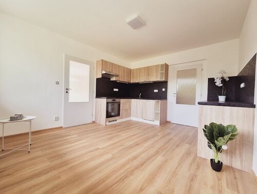 Fotografie nemovitosti - Prodej prostorného a světlého bytu po rekonstrukci, 2+1, 81 m2, garáž, zahrada 1400 m2