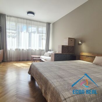 Pronájem luxusně zrekonstruovaného, designového, plně vybaveného 1kk, Opatovická, Praha 1 Nové Město