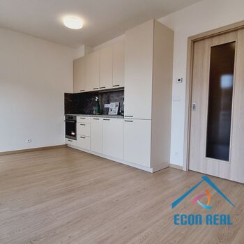 Pronájem vzdušného bytu 1kk, s lodžií, sklepem a parkováním, novostavba BD Divišovská, Praha, Chodov