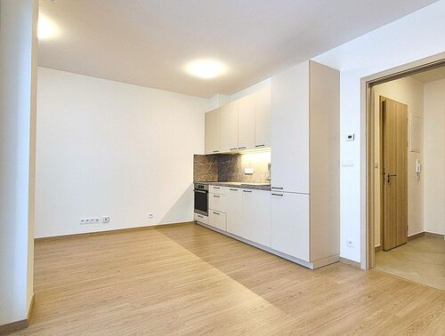 Pronájem vzdušného bytu 1kk, s lodžií, sklepem a parkováním, novostavba BD Divišovská, Praha, Chodov