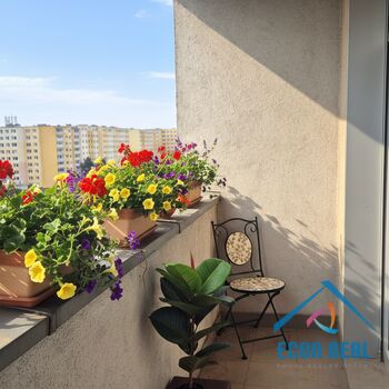 Prodej útulného bytu 1kk s lodžií, sklepem a garážovým stáním, Sluneční náměstí, Praha 13 Stodůlky