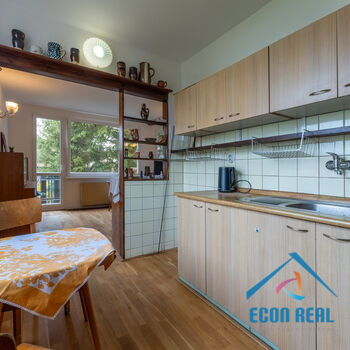 Prodej domu se zahradou, 830 m2, ul. Na Veselí, Jesenice