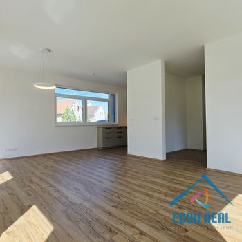 Pronájem zcela nové, luxusní jednotky 3kk, 92m2, s parkováním, U Kovárny, Herink