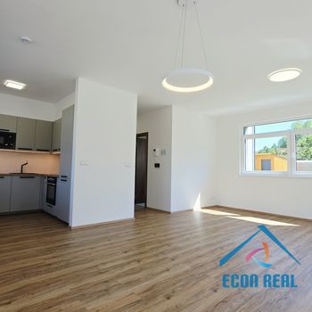Pronájem zcela nové, luxusní jednotky 3kk, 92m2, s parkováním, U Kovárny, Herink